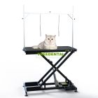 Stainless Steel Electric Lifting Folding Professional Grade Beauty Equipment Cat Grooming Platform Dog Pet Grooming Table
