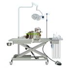 Hot Selling High-quality Veterinary Surgical Table,Operation table for pet clinic