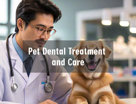 Pet Dental Treatment and Care -Veterinary Daily Work Advice