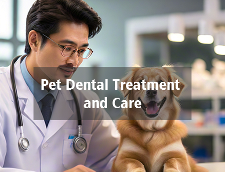Pet Dental Treatment and Care -Veterinary Daily Work Advice